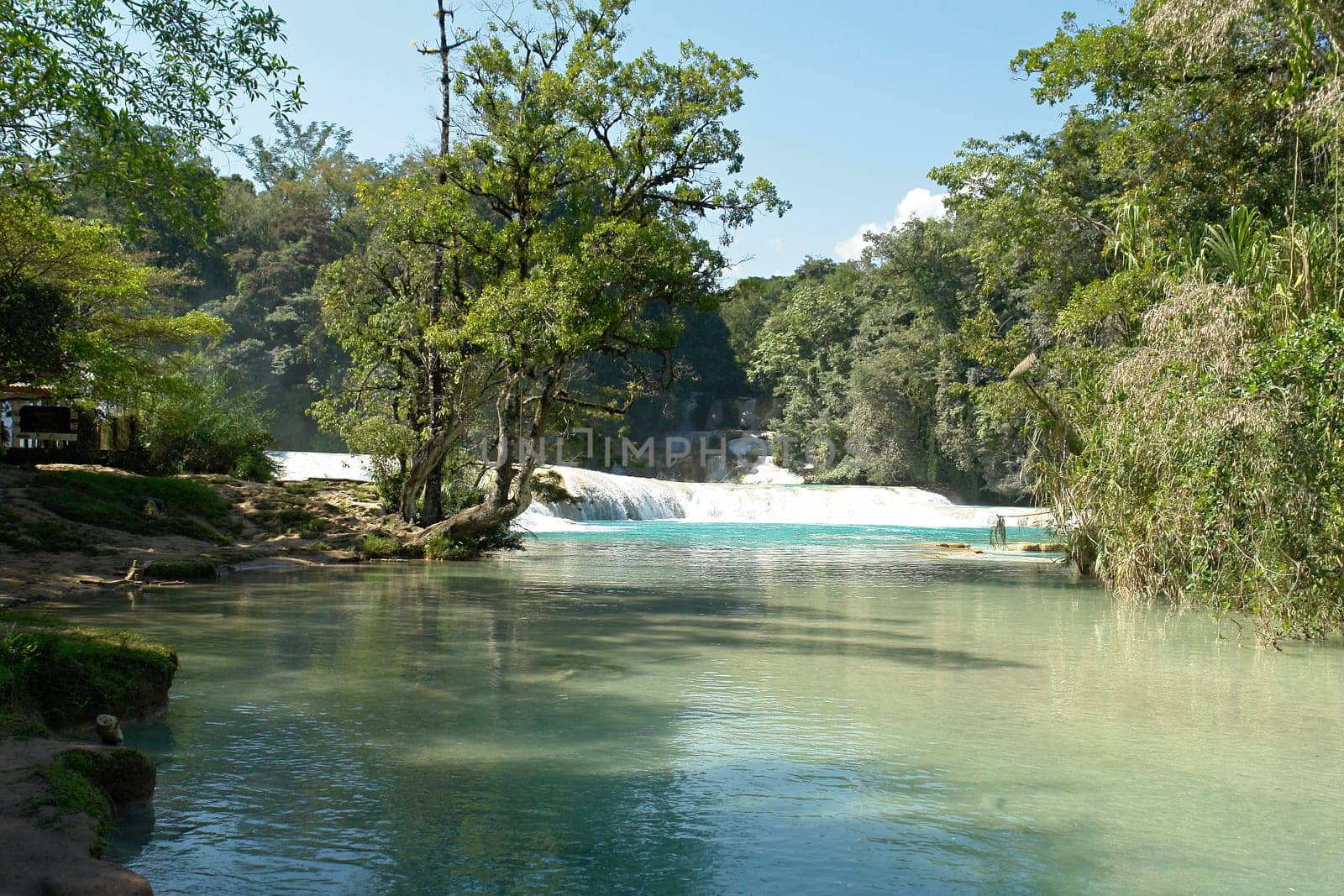 Agua Azul Falls in Mexico