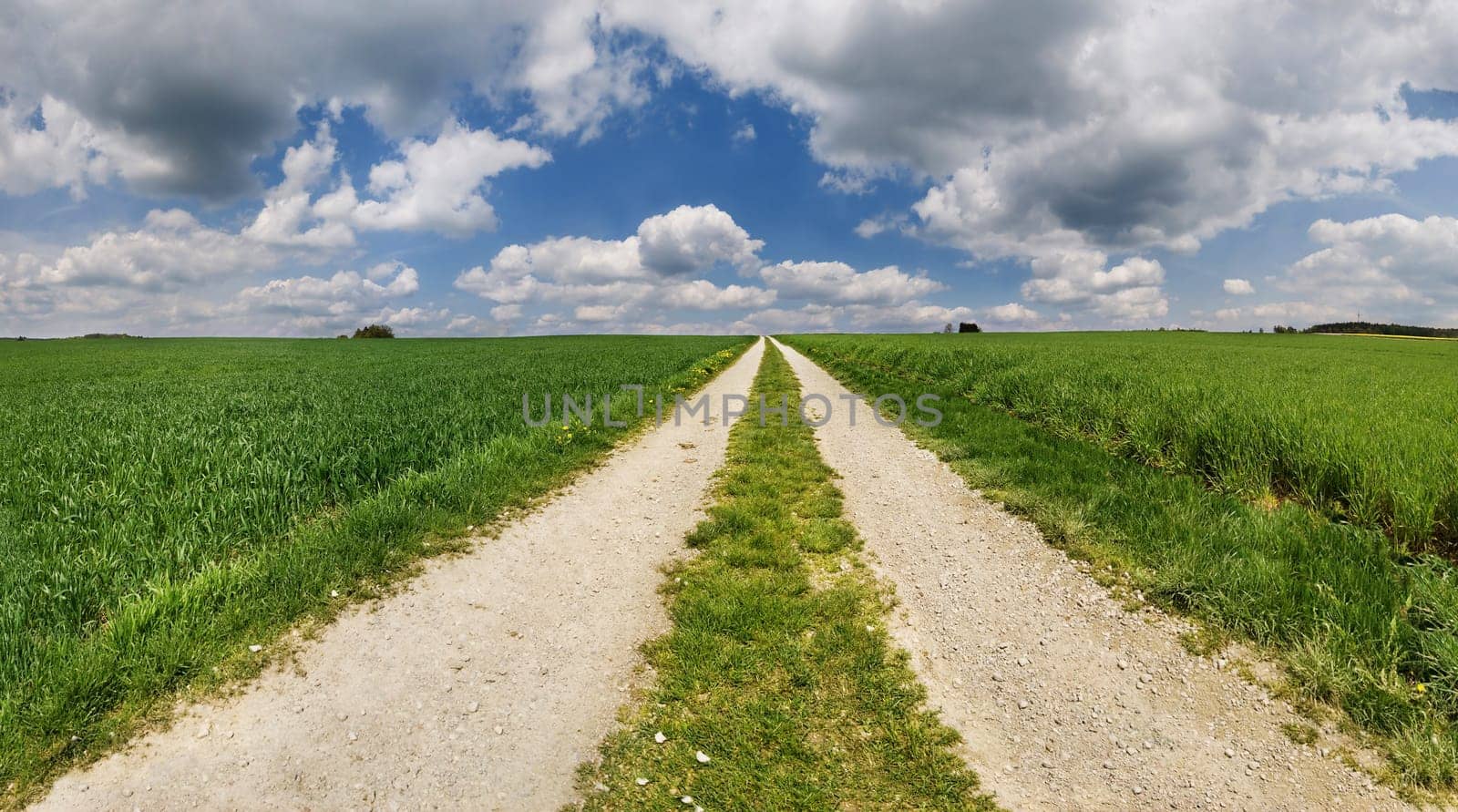 The Way