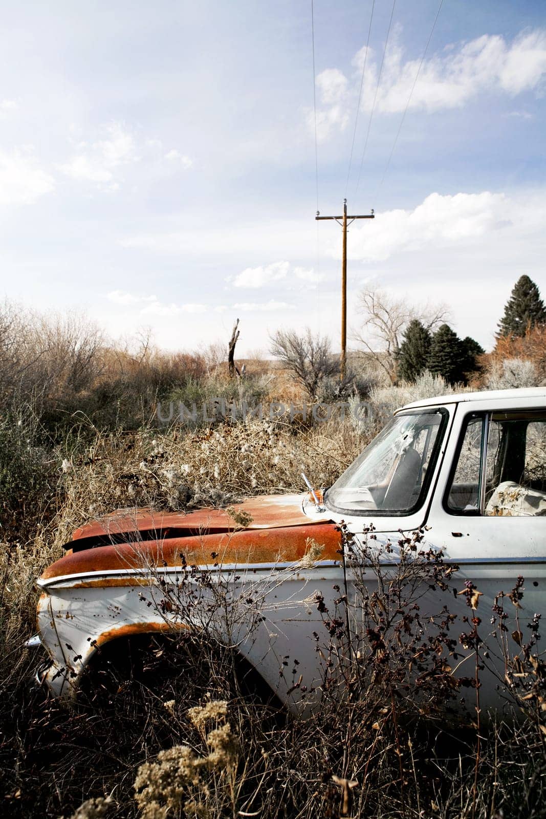 abandoned car