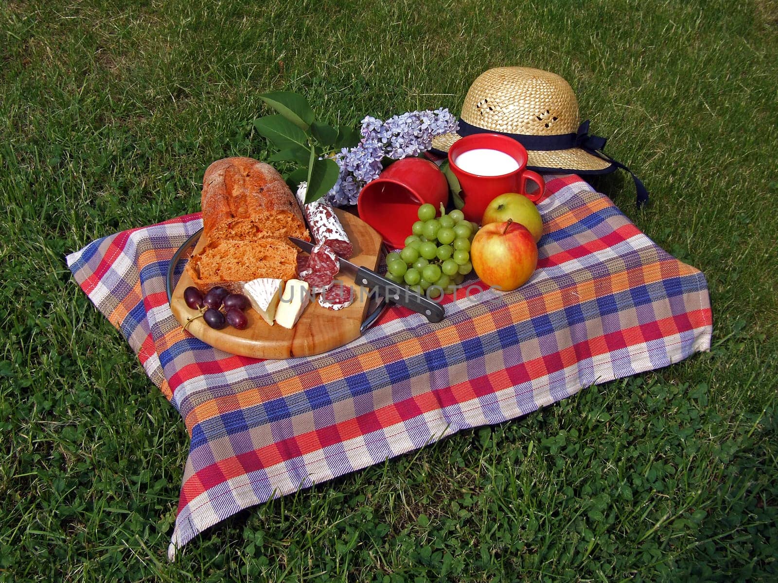 Picnic