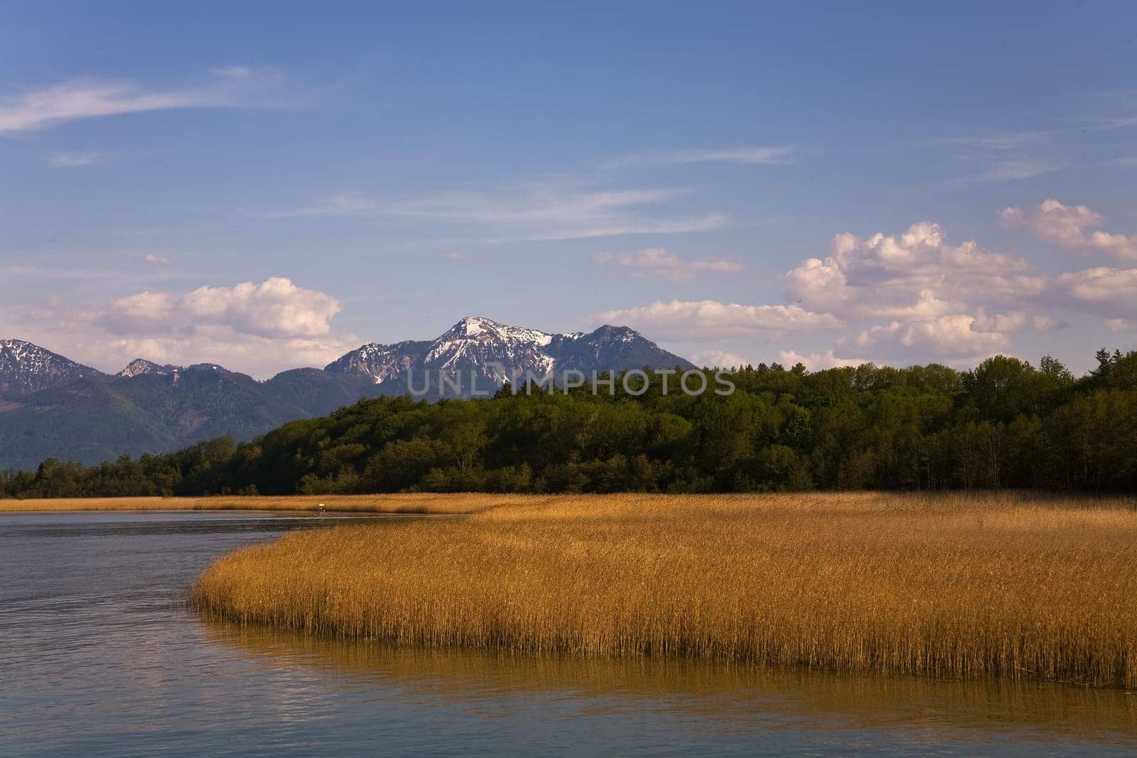 Chiemsee