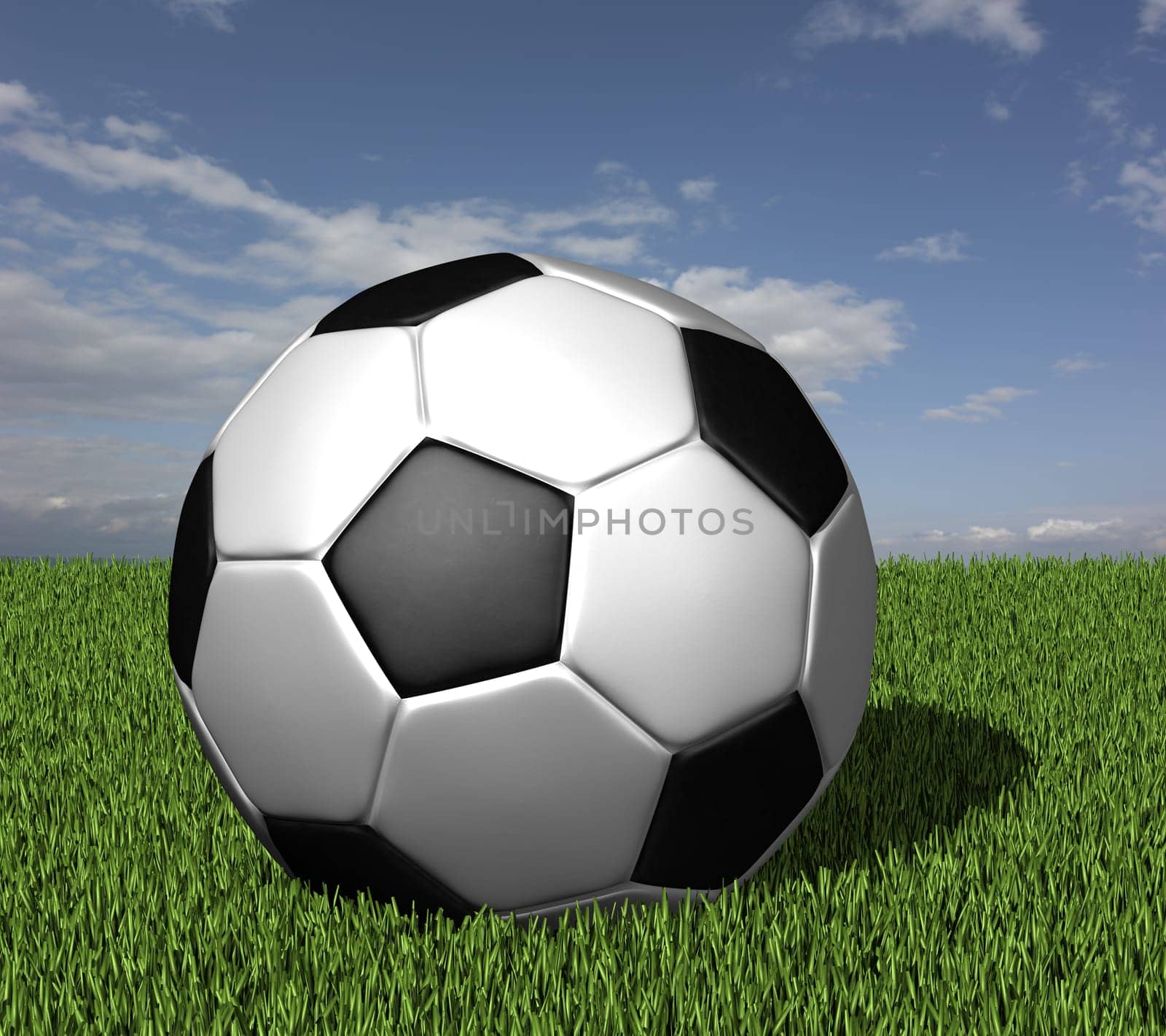 Soccer ball on grass