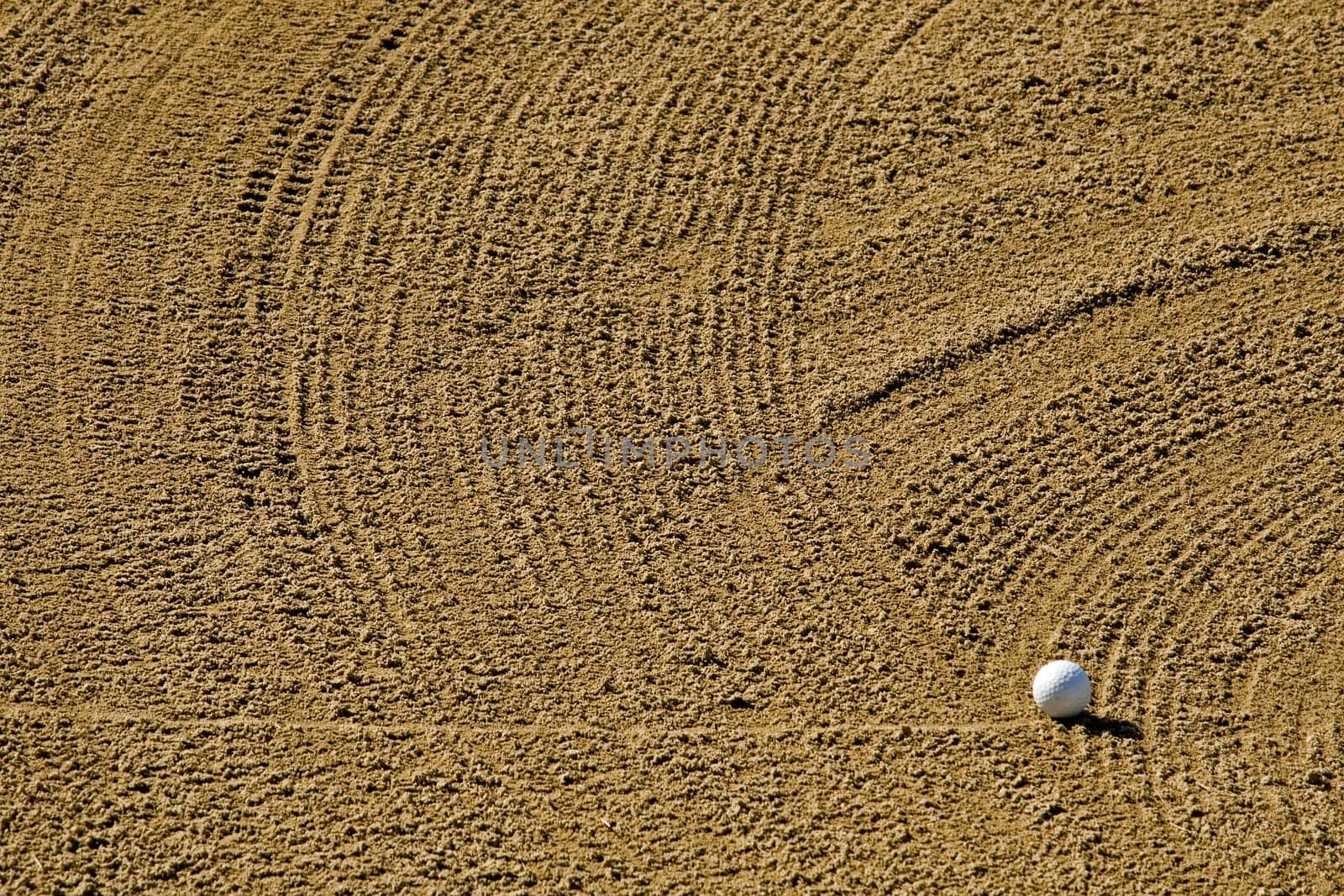 Playing Golf