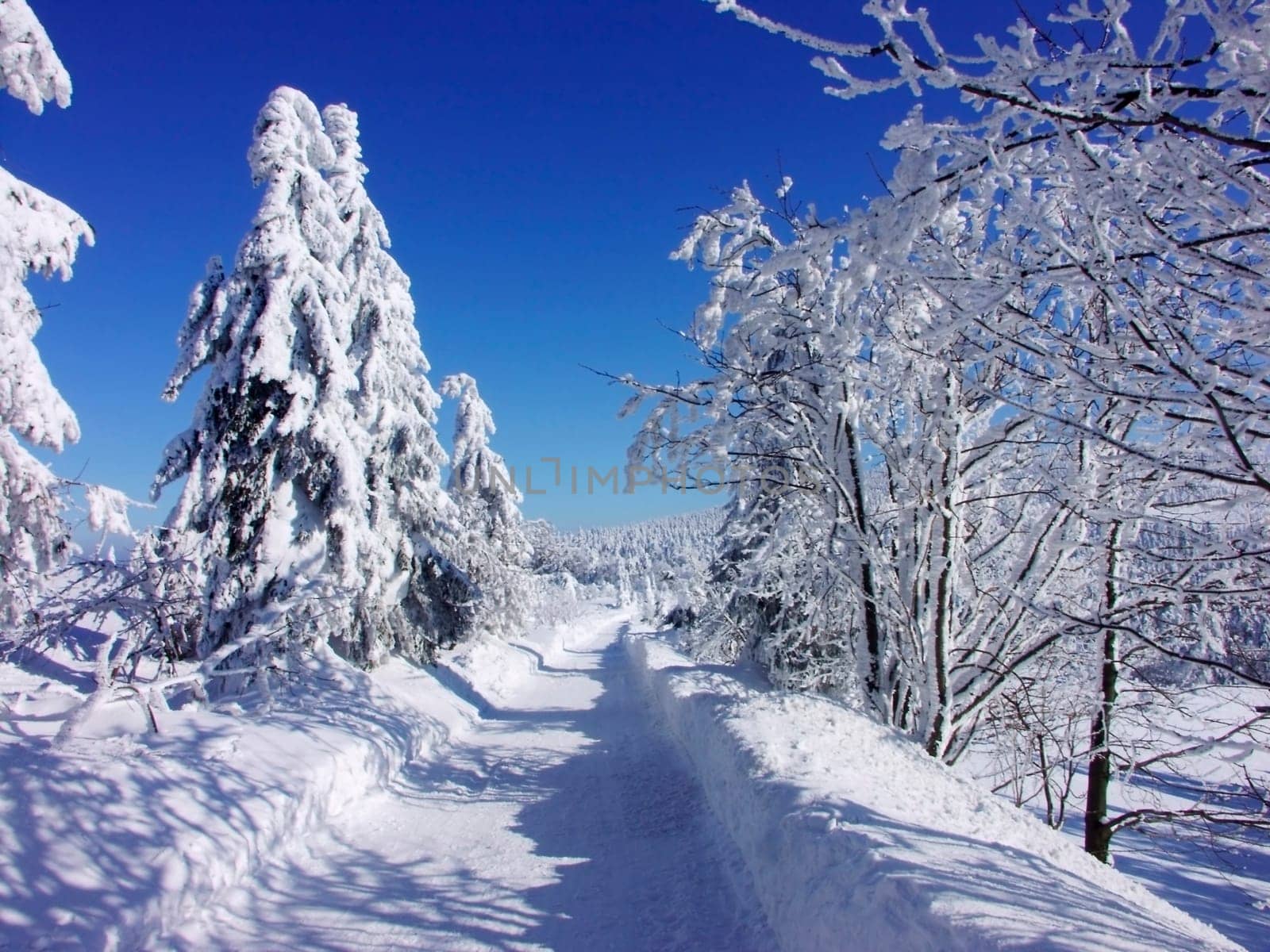 Czech Republic - snowy way