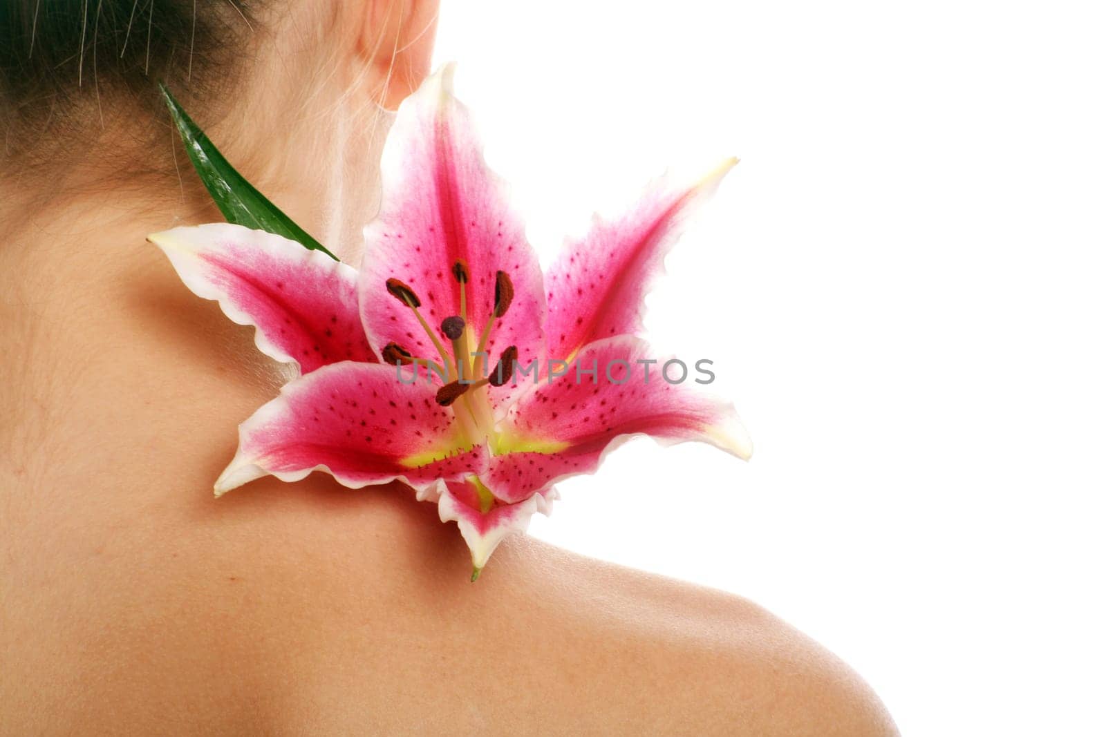 Beauty Portrait with Flower