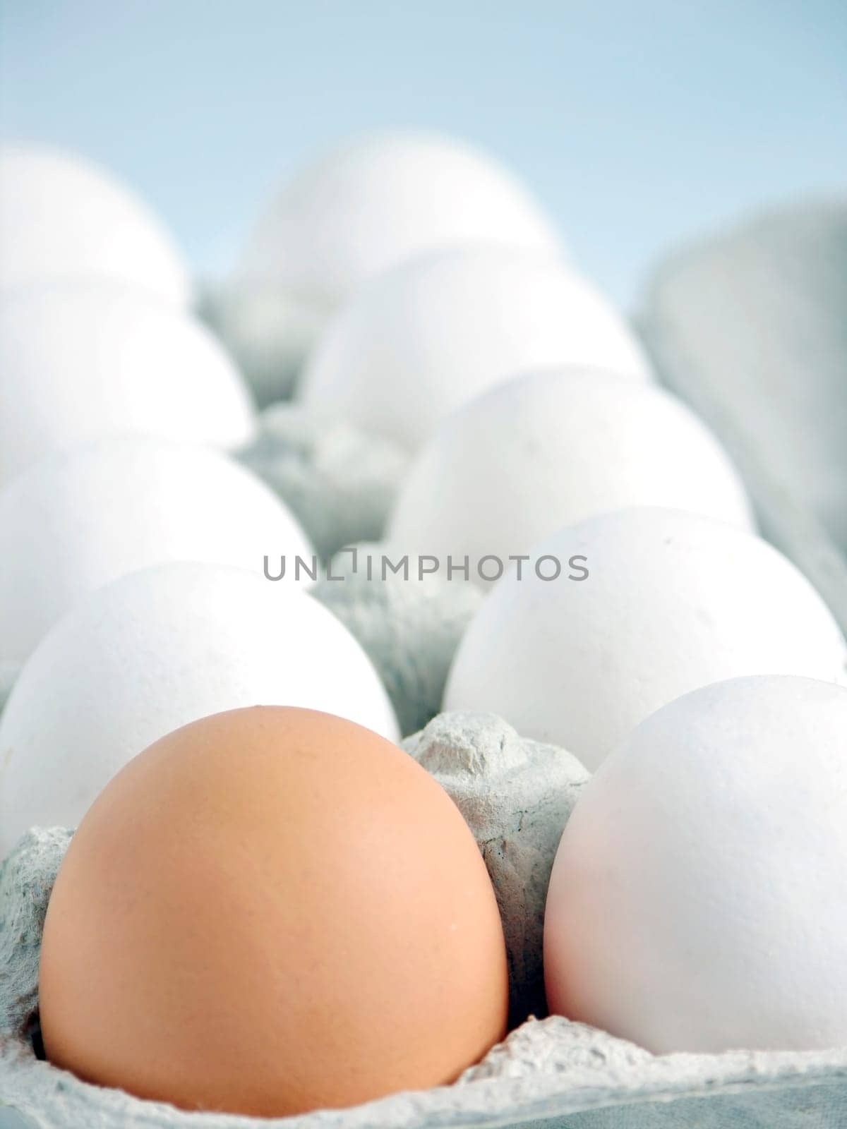 One brown egg in the midst of white eggs
