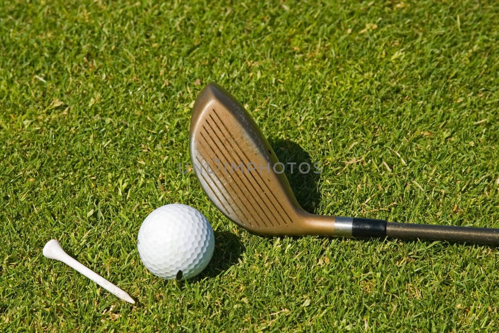 Playing Golf