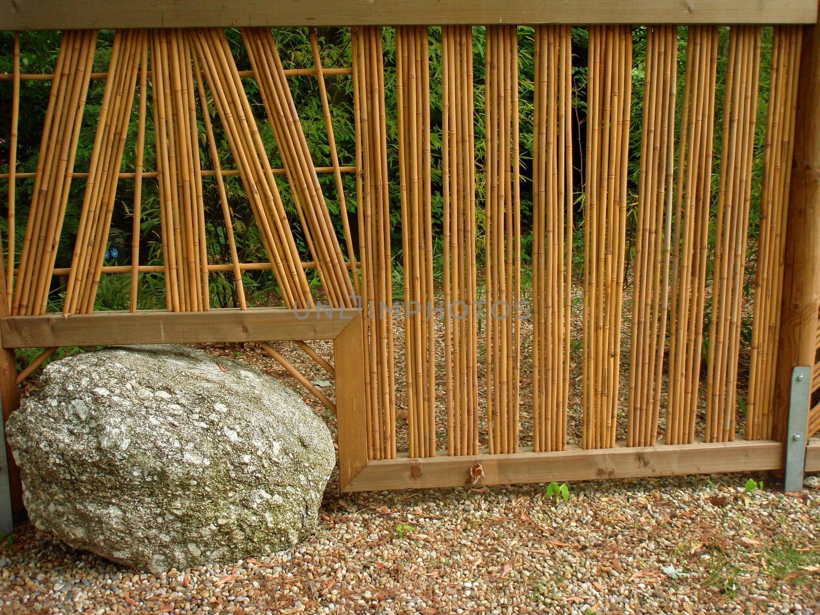 Bamboo fence