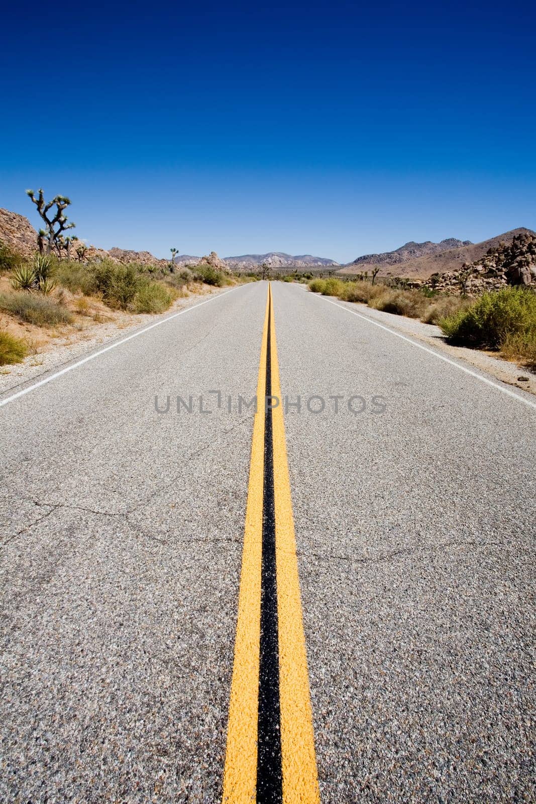road in Joshua Tree National Park, USA