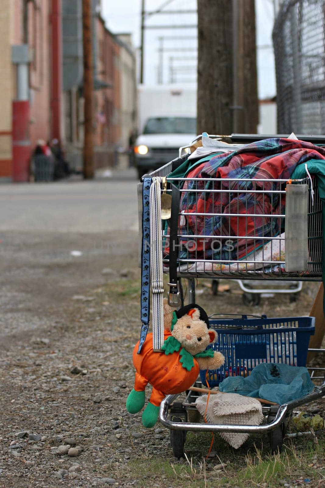homeless shopping cart
