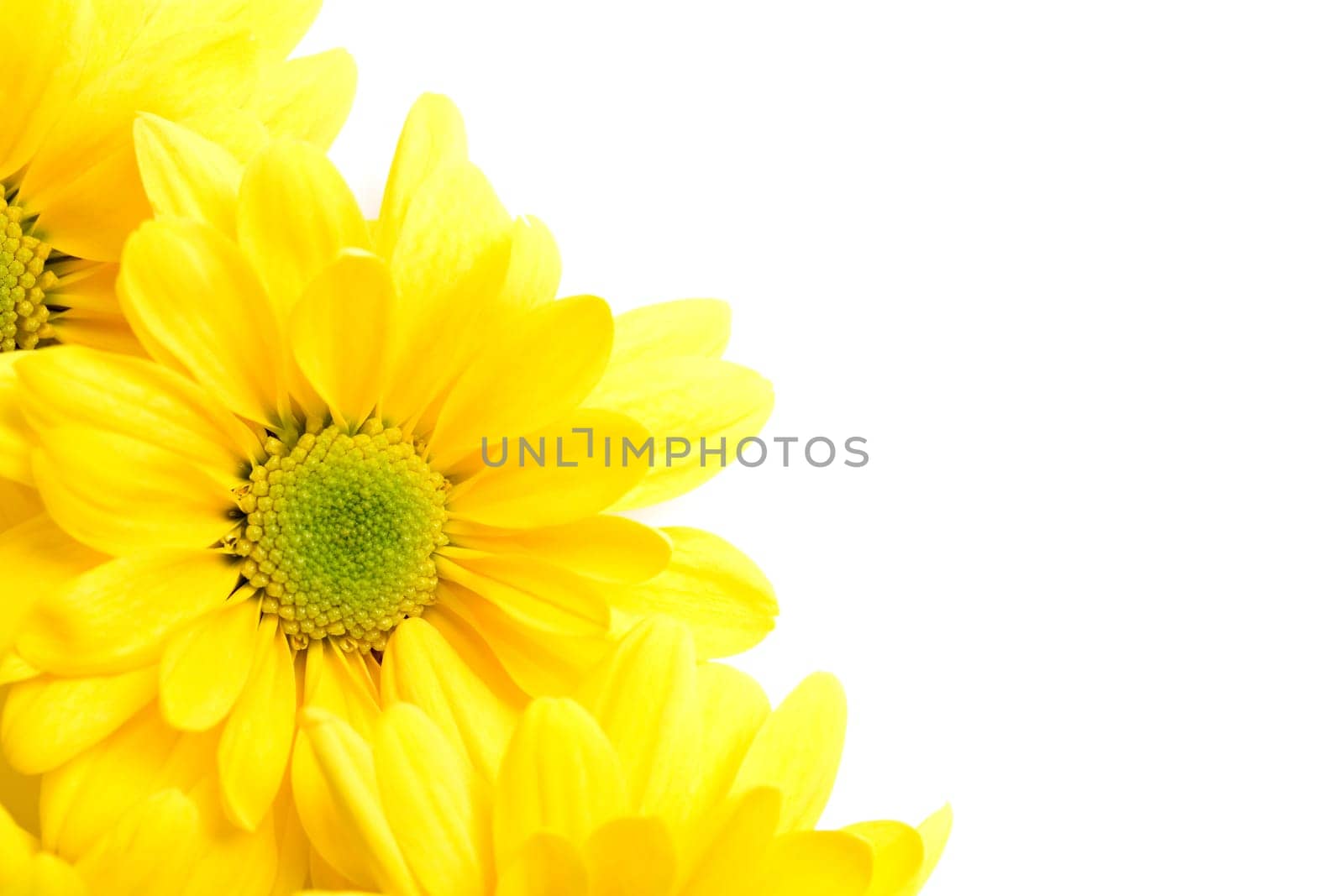 flowers corner