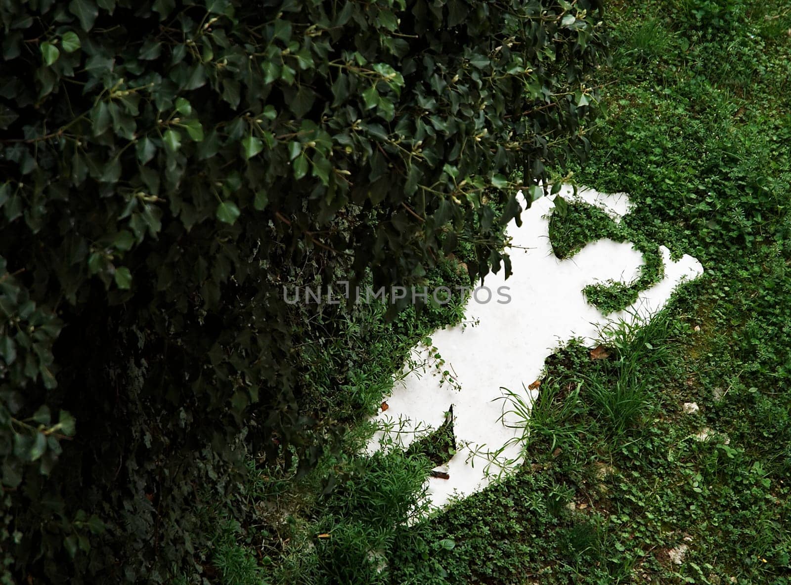 Crime scene
