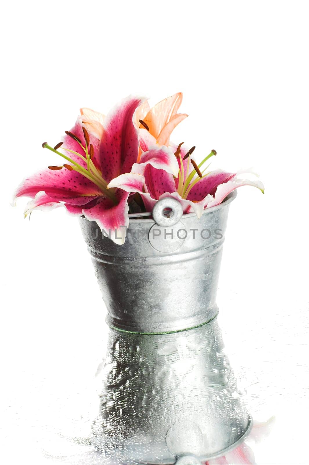 Flowers in a bucket