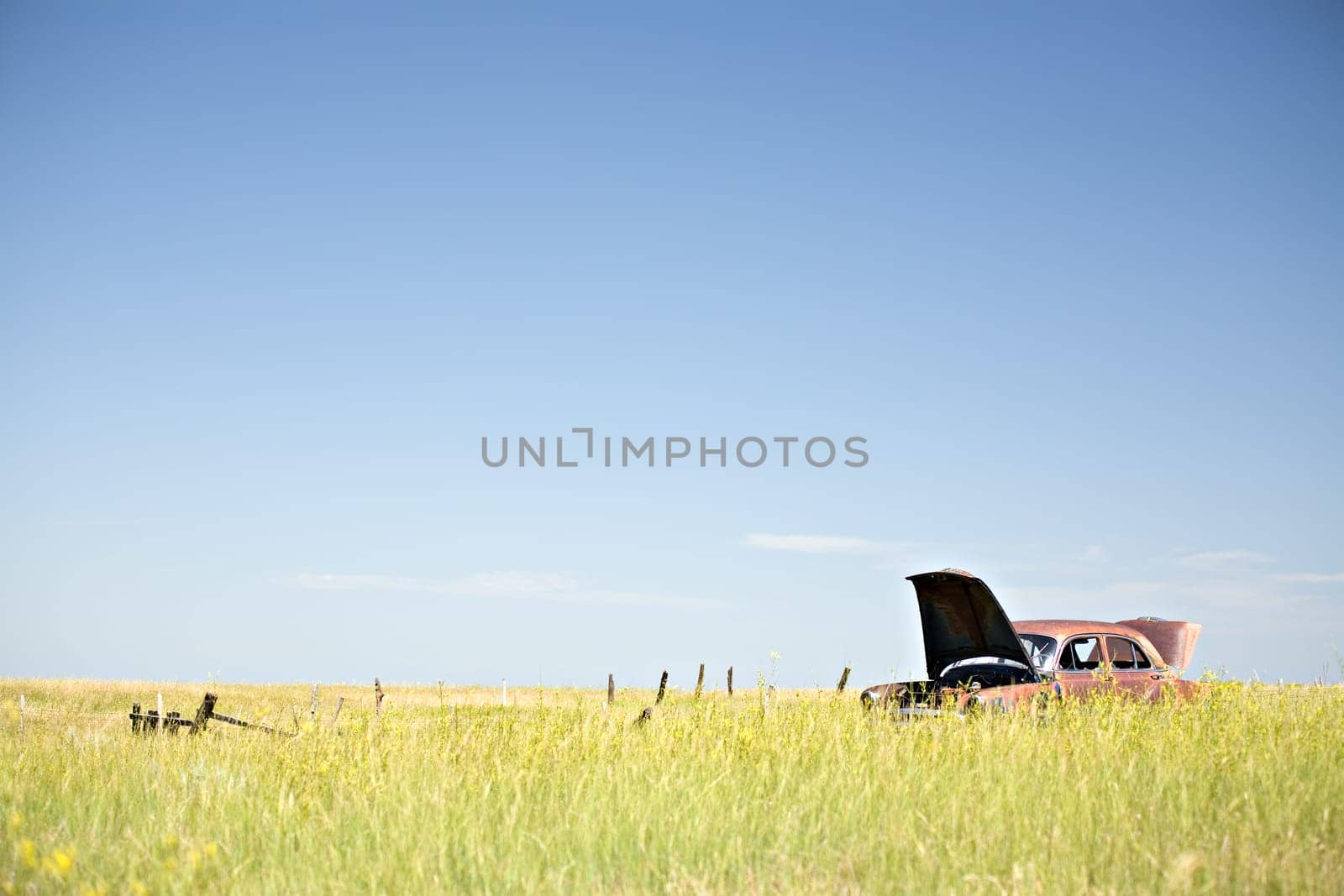 abandoned car in field