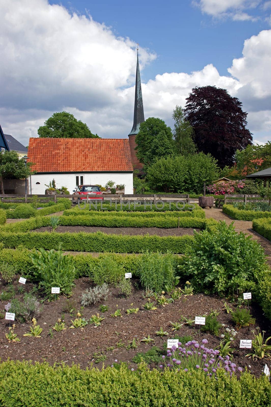 Cottage garden