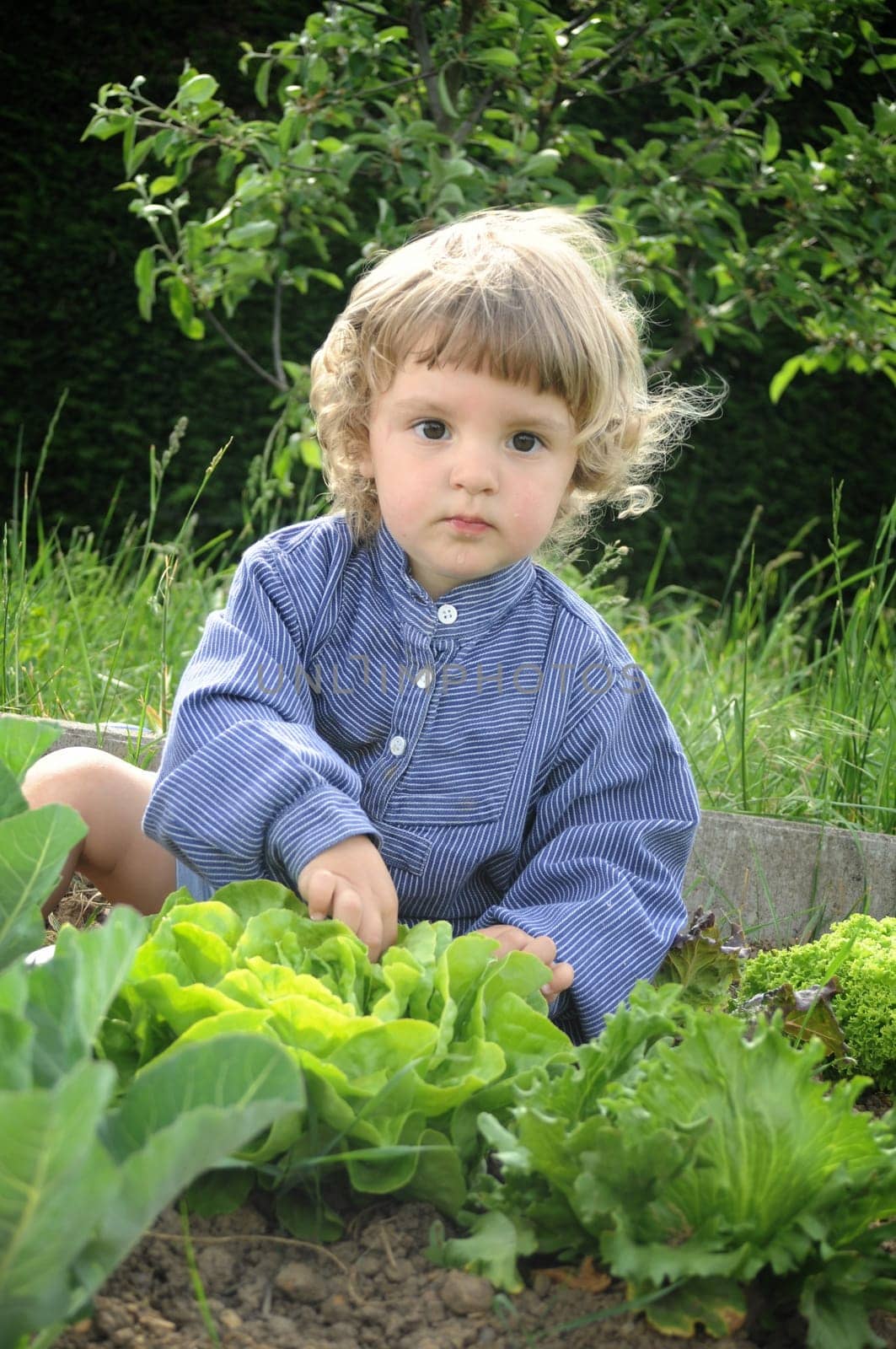 Children's Vegetable Garden