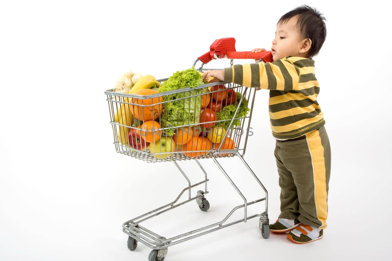 Baby pushes a shopping cart