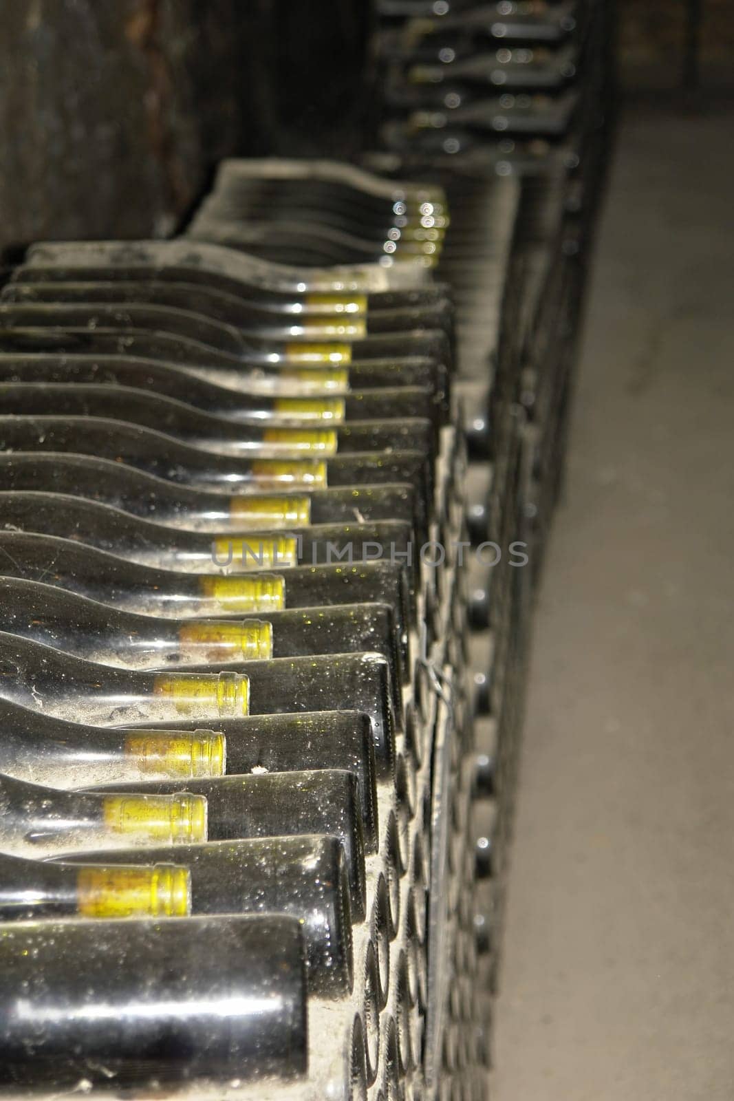 Wine cellar with wine bottles