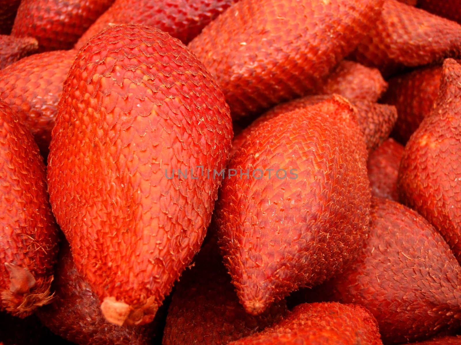 Snake fruit