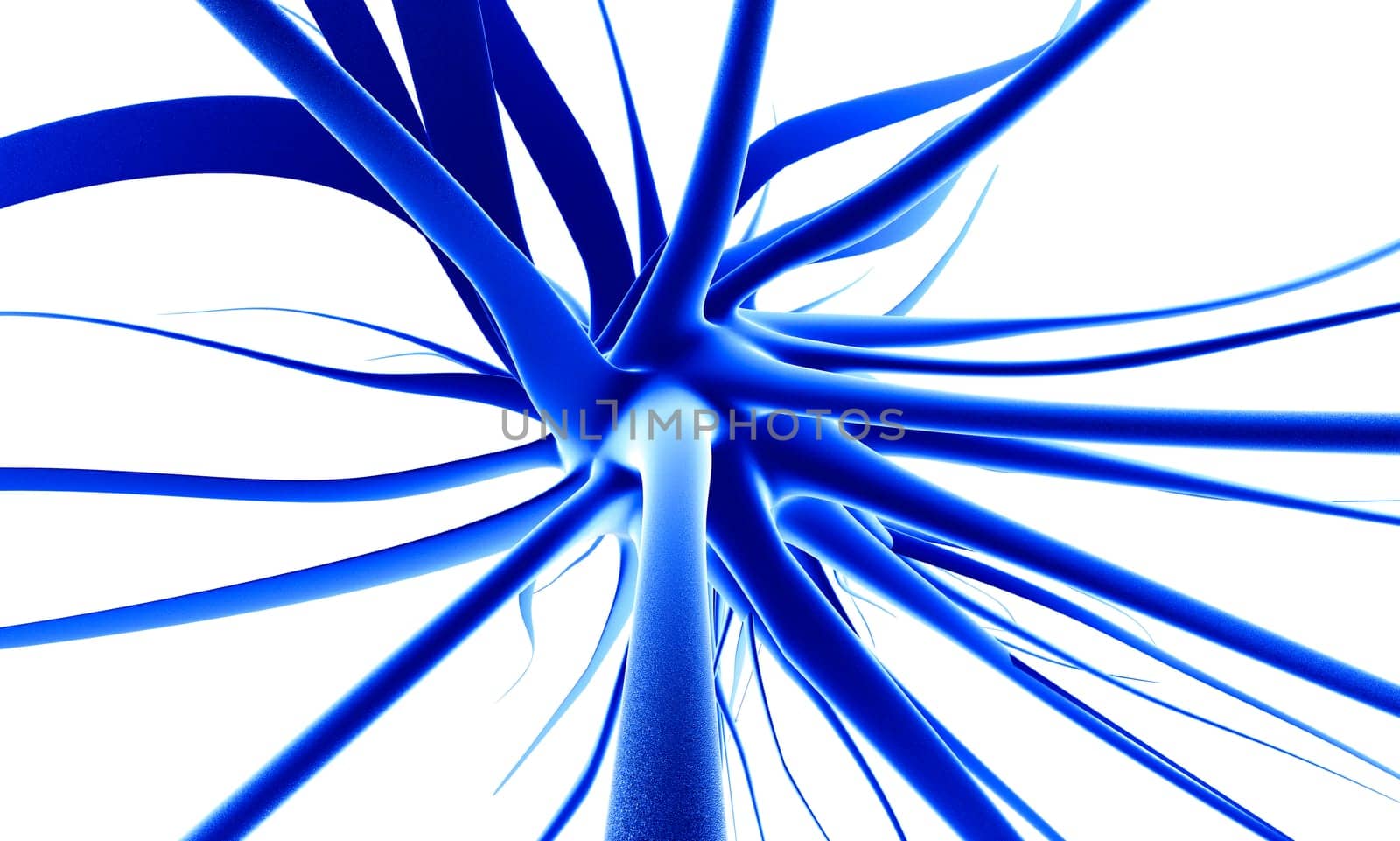 Neuron