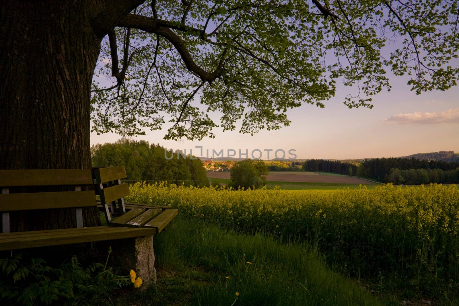 Evening rest