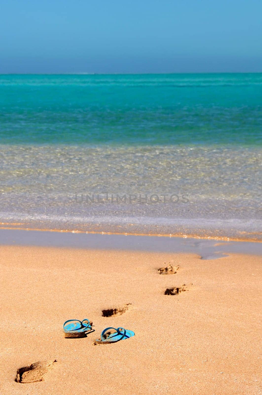 Traces