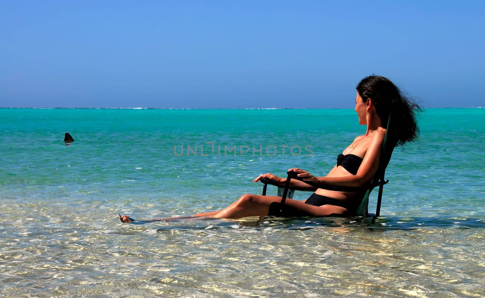 Shark Bay