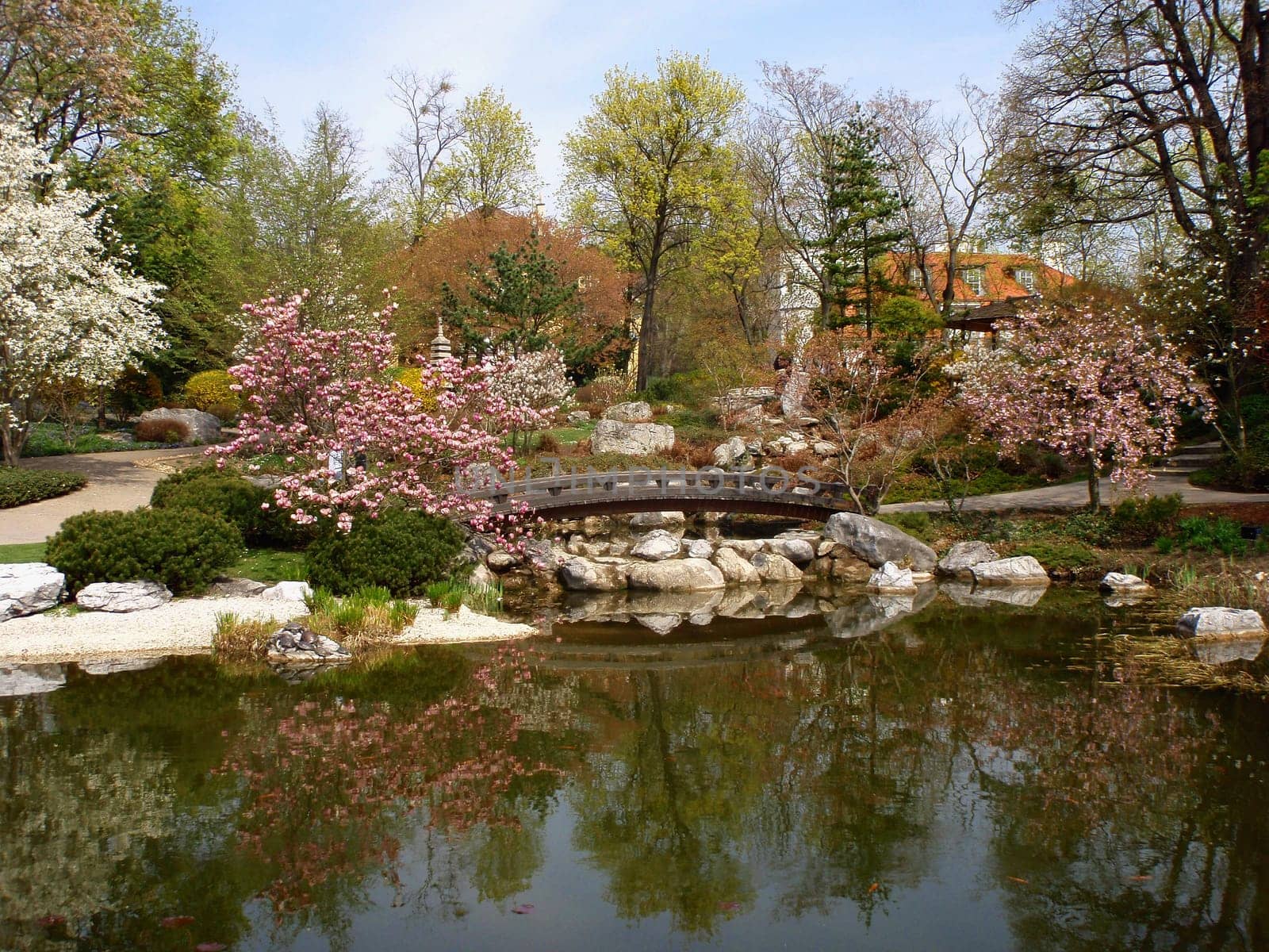 Japanese Garden