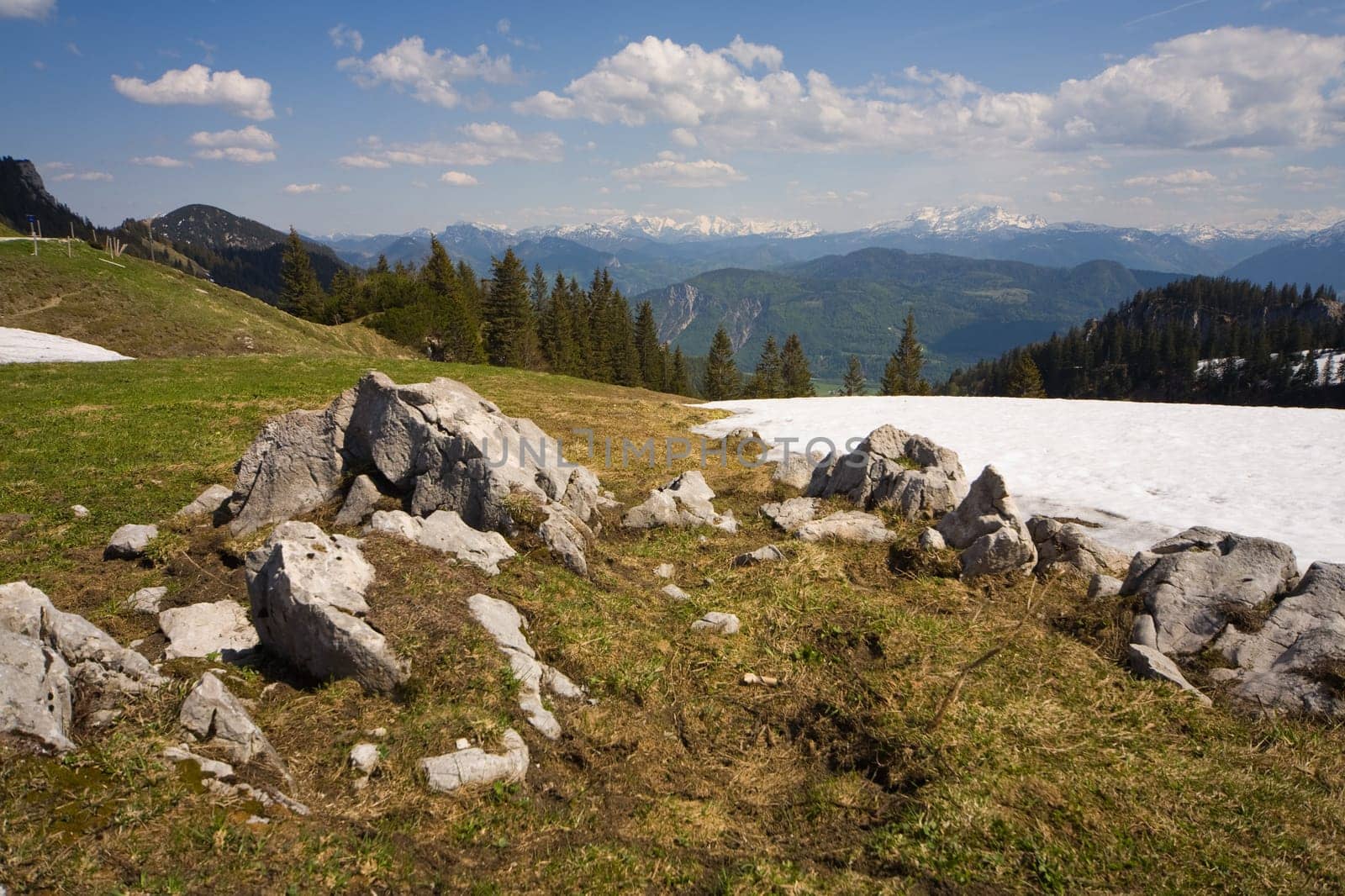 View of the Alps