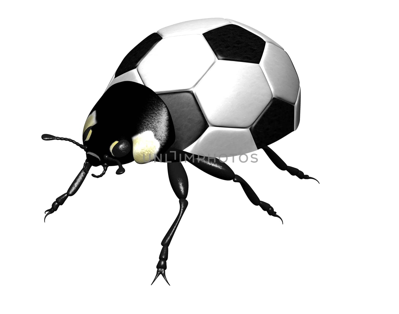 Ladybug as a soccer ball