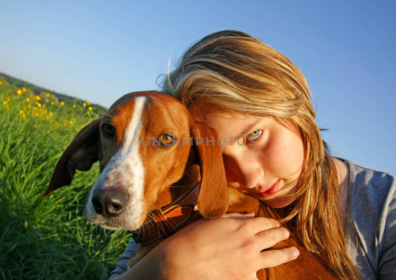 Dog with girl
