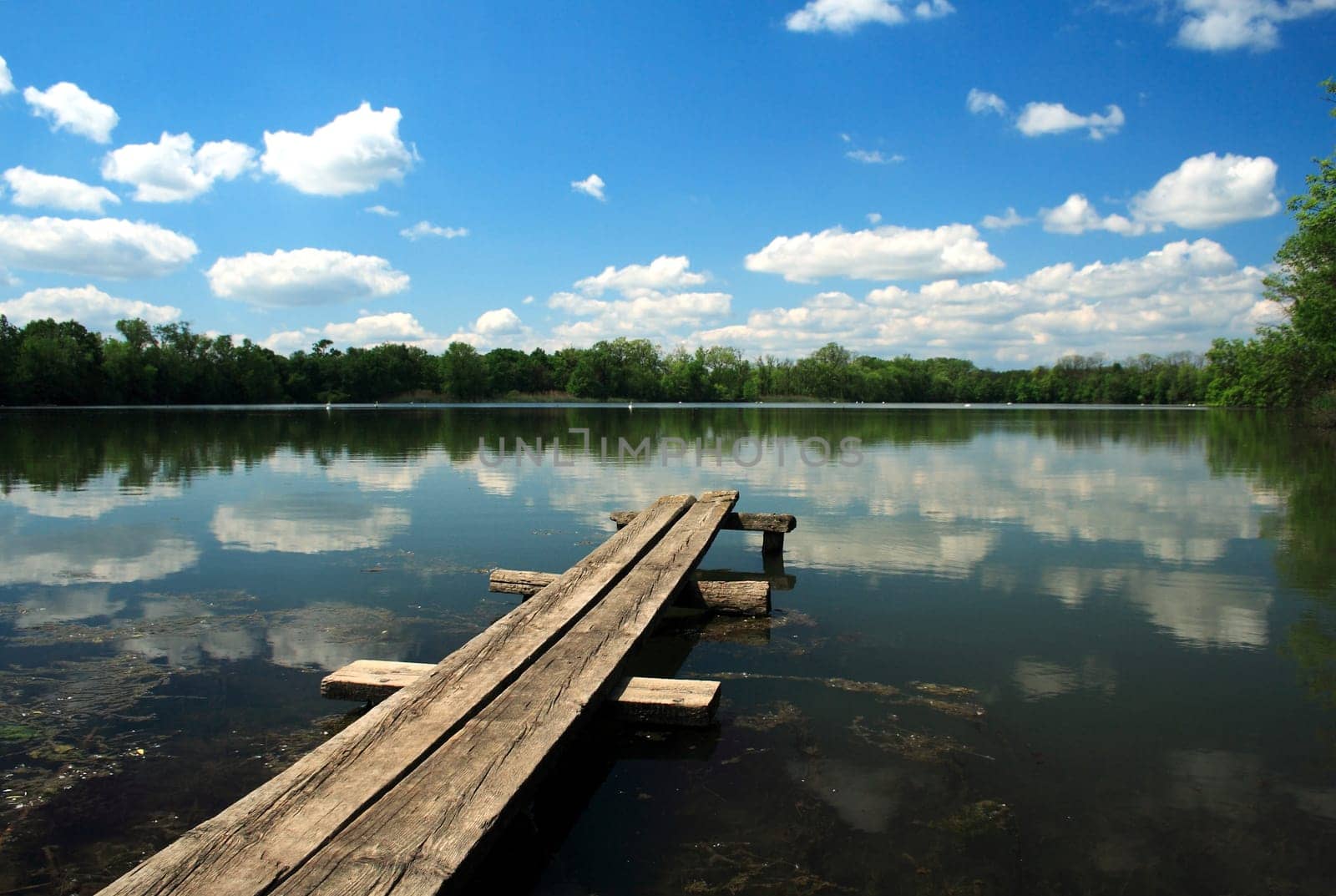 Bench over pond