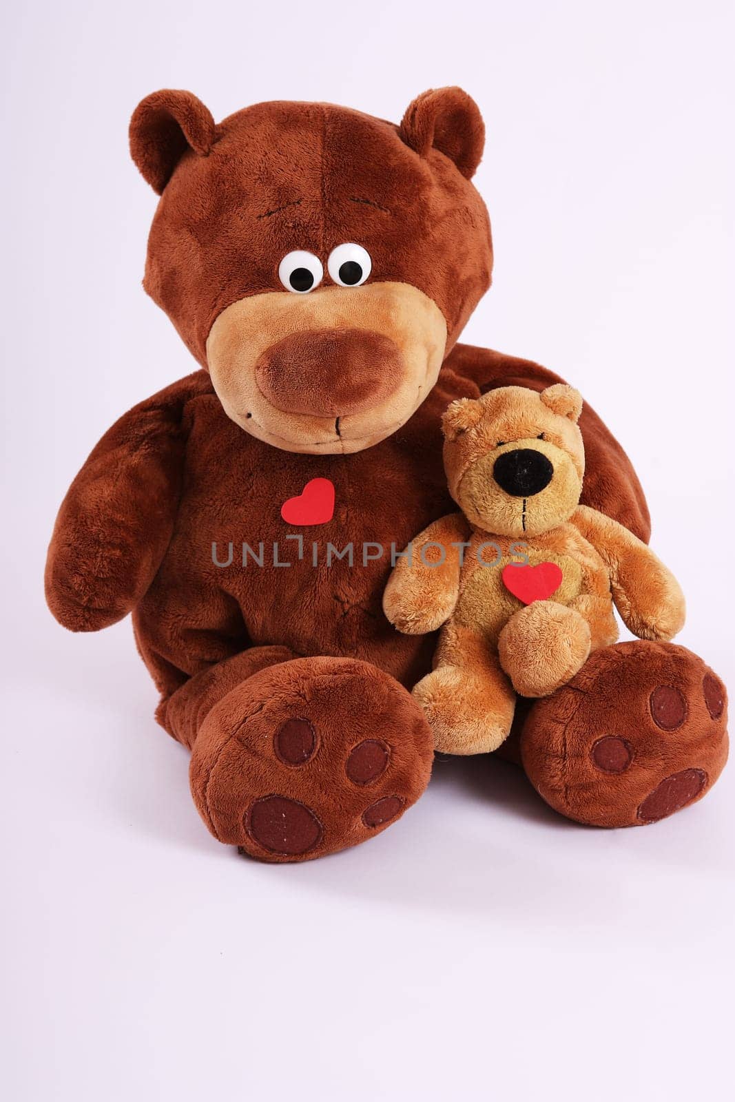 2 Brown Bears Cuddle - Portrait