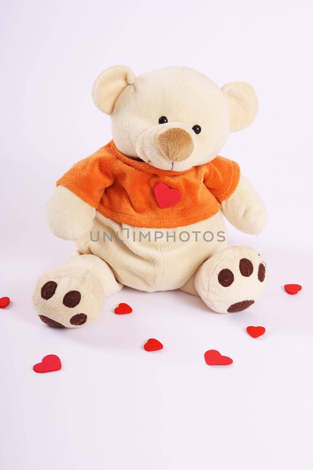 Valentine's Bear Portrait
