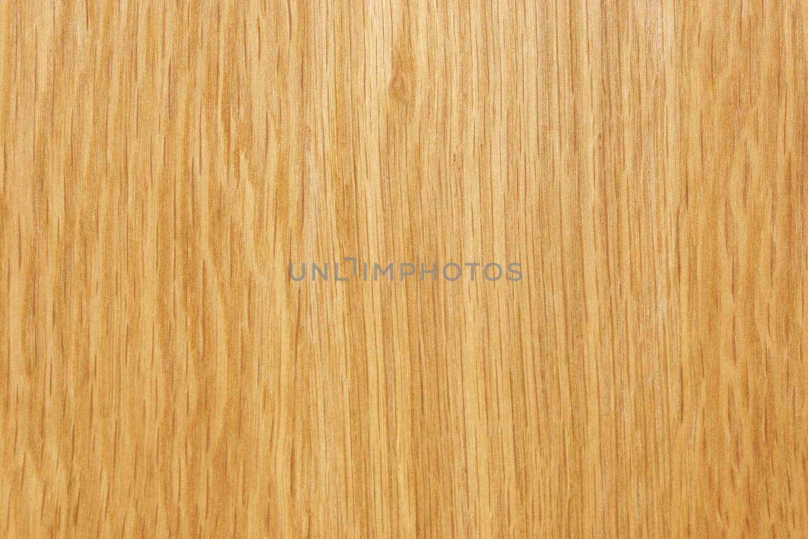 Birch texture