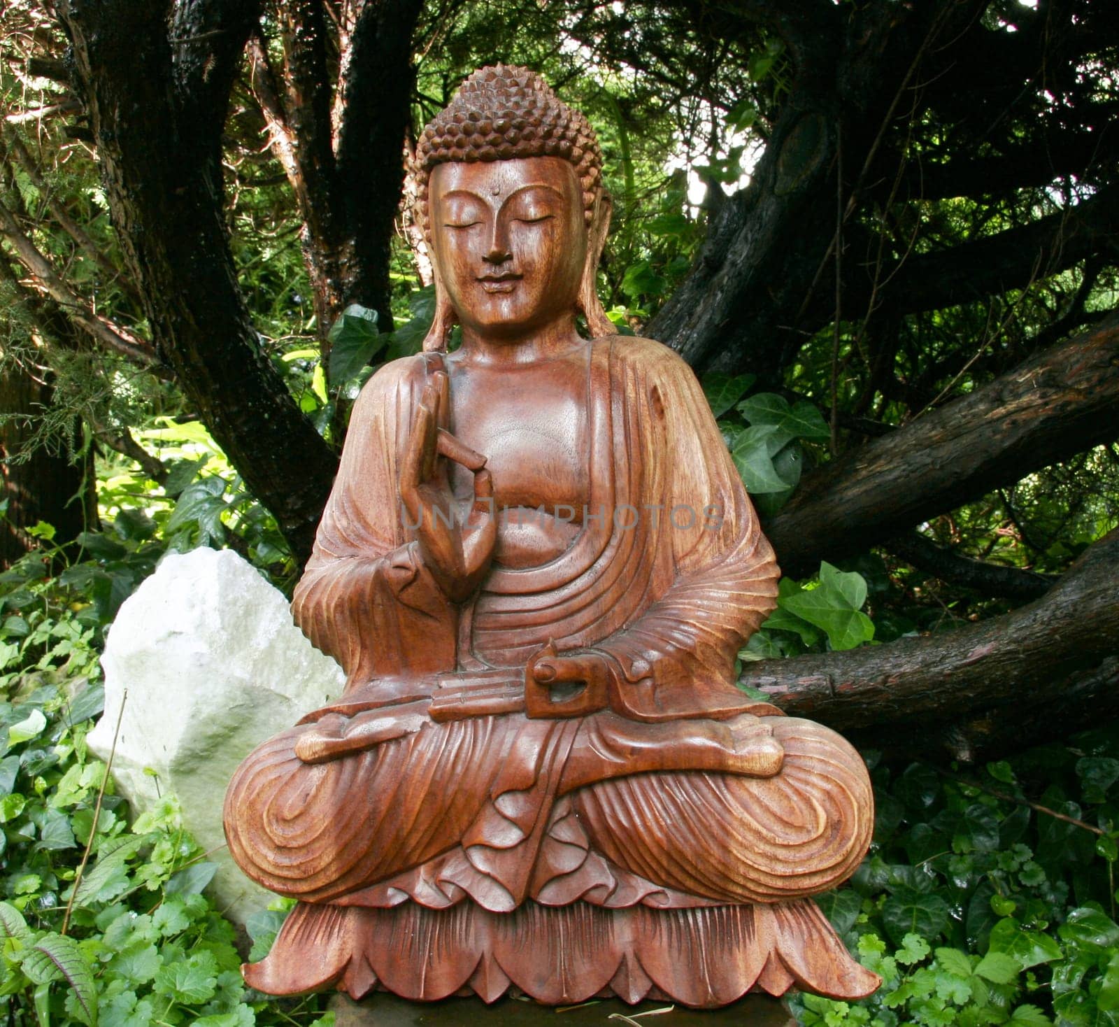 Buddha