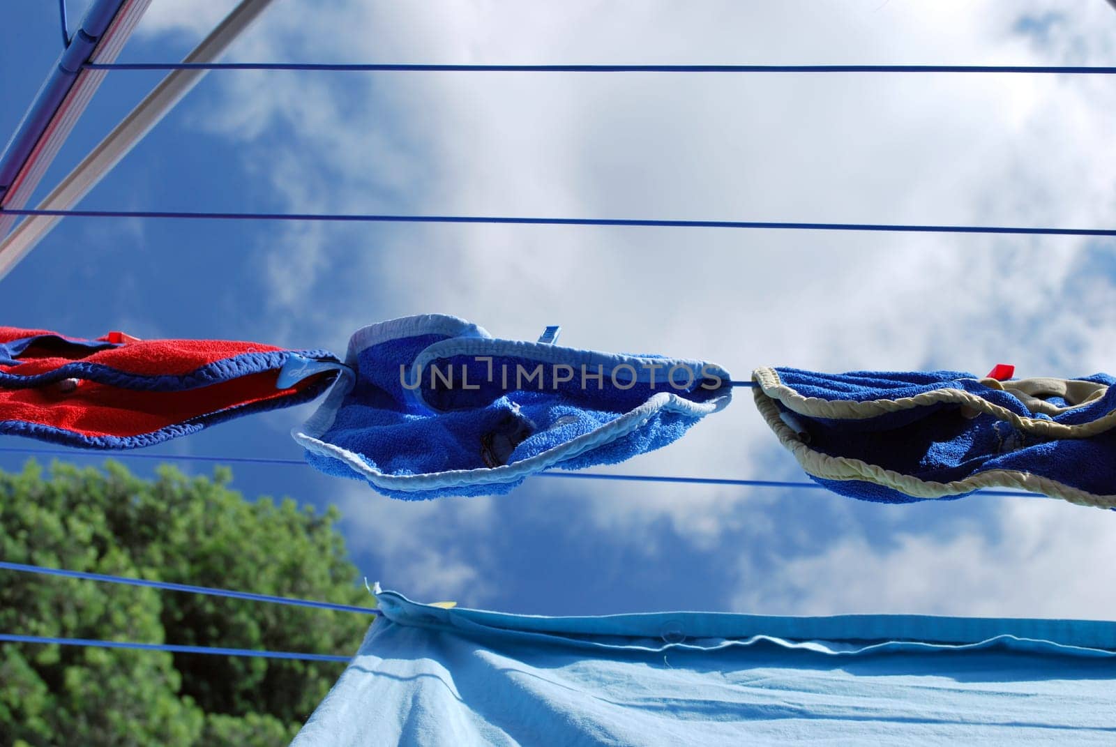 Clothesline 3121