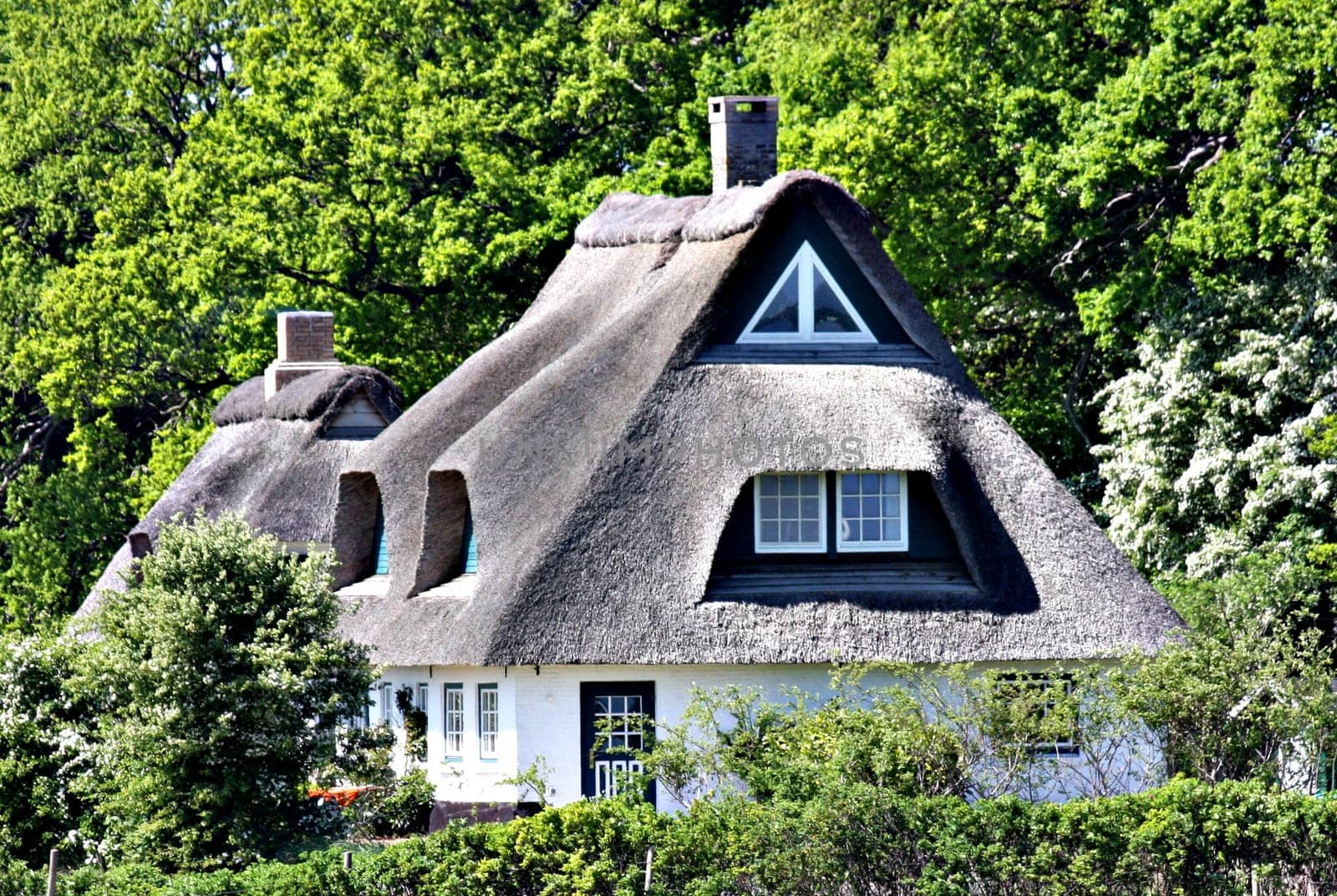 Thatched roof house