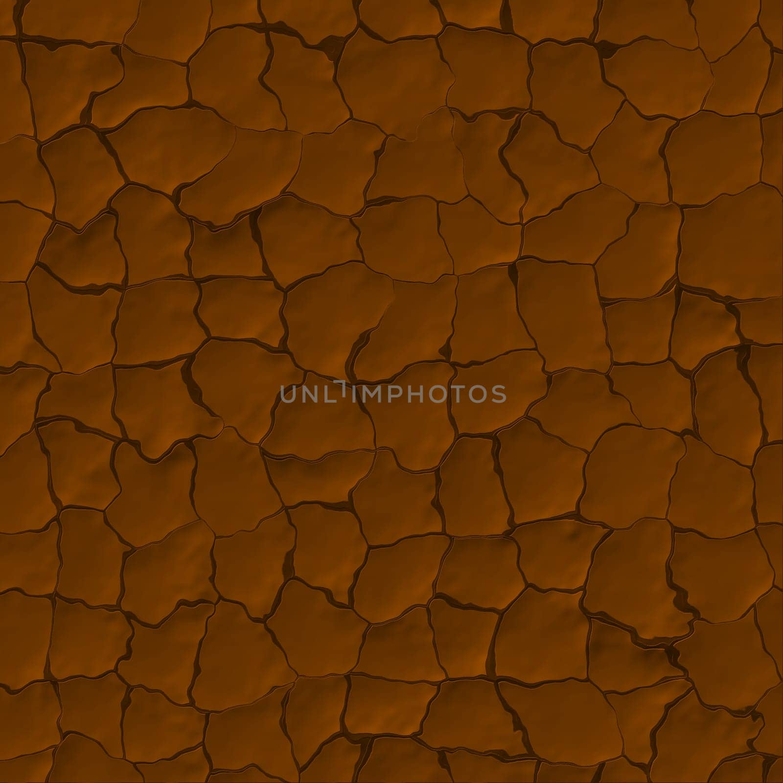 Dried Mud Cracks