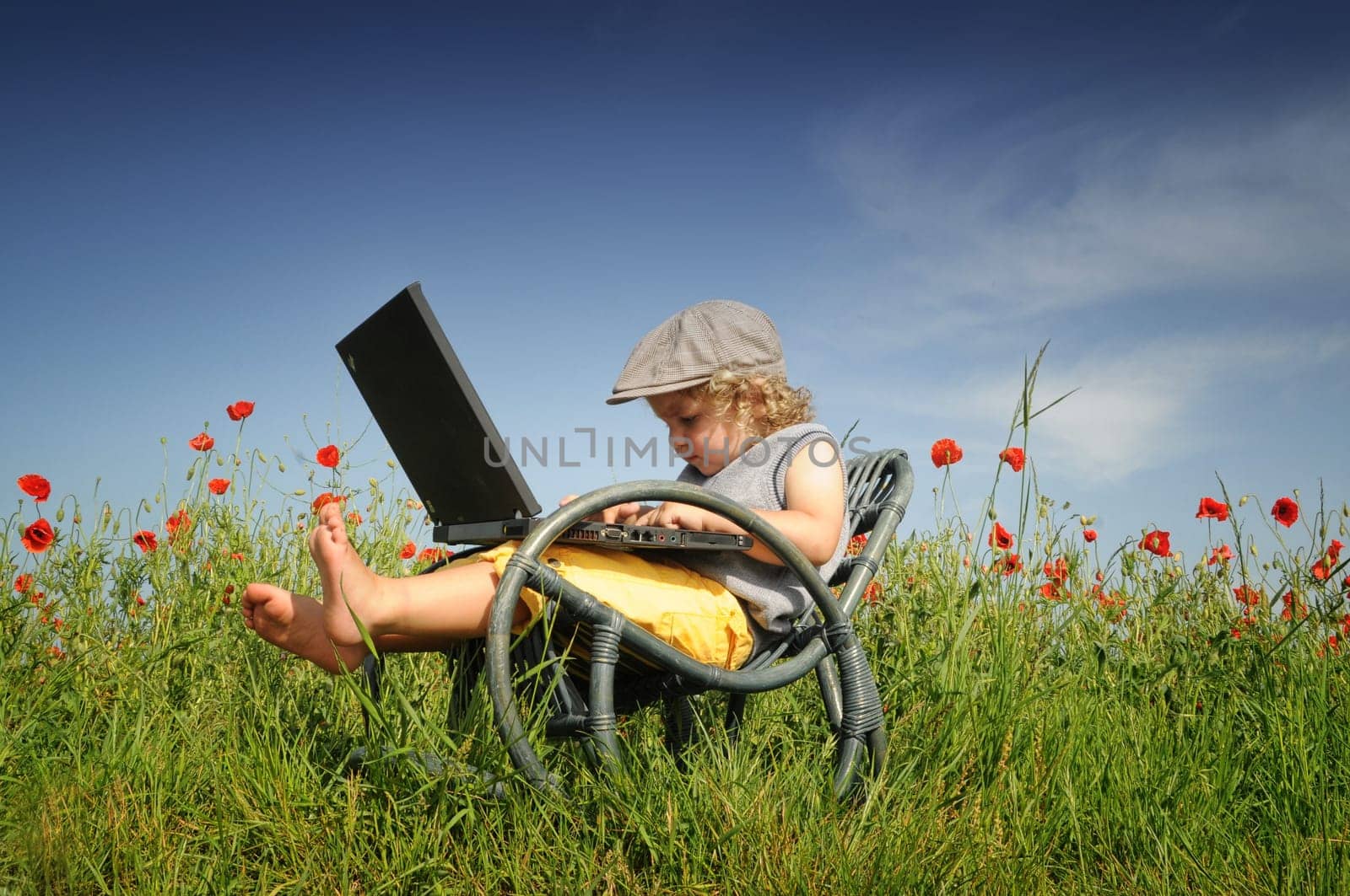 In the poppy field