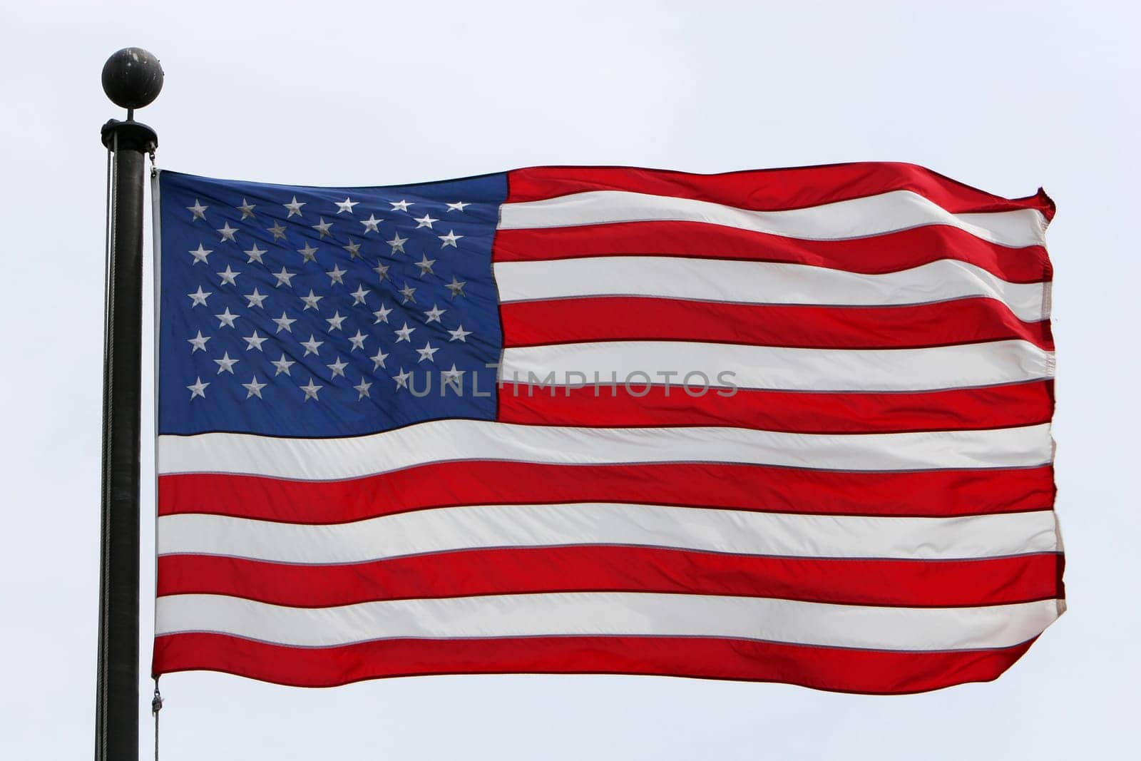 proud banner