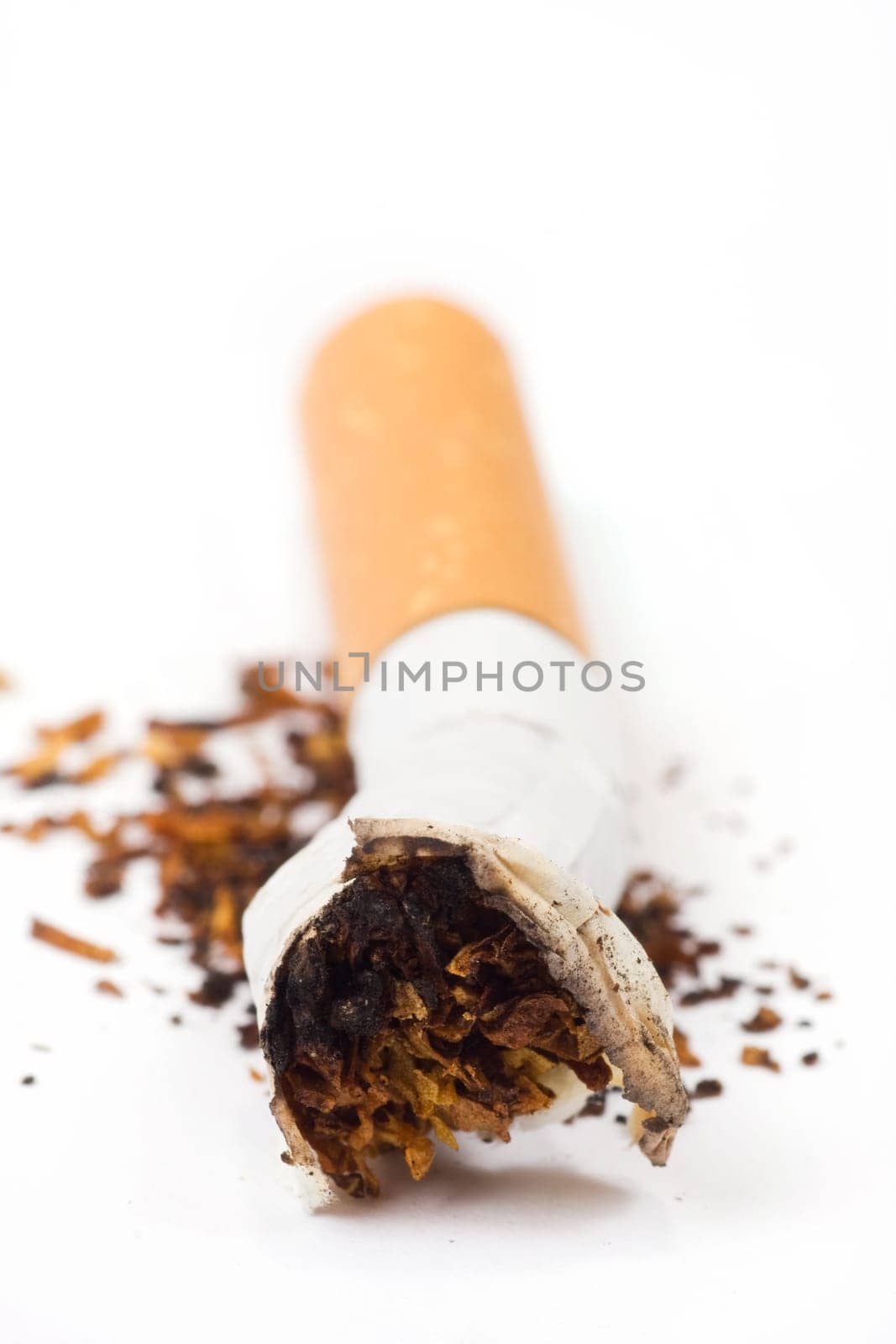 cigarette butt