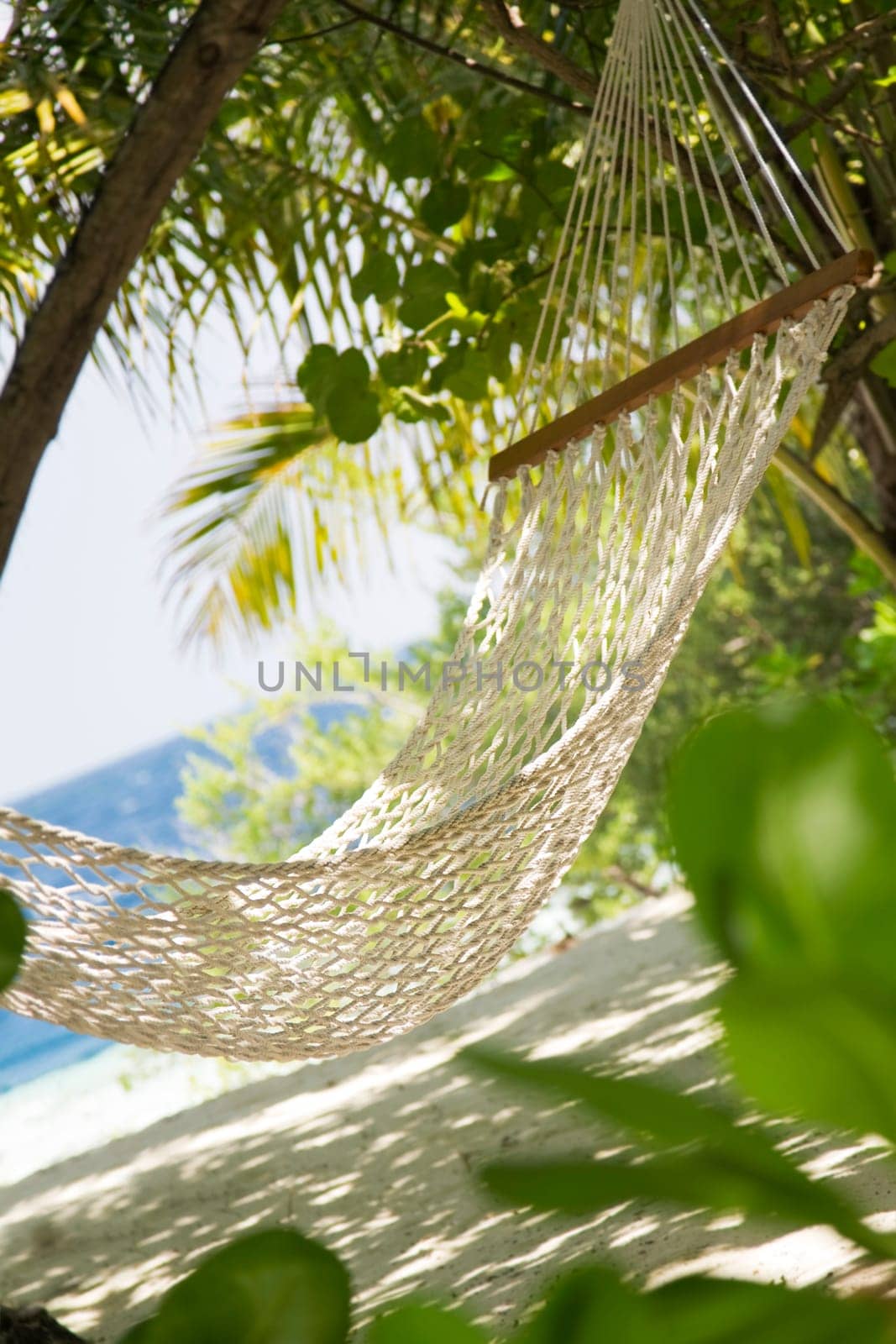 tropical beach
