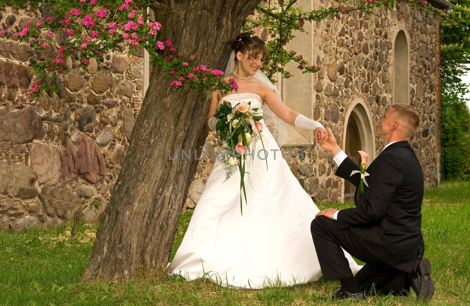 Proposal