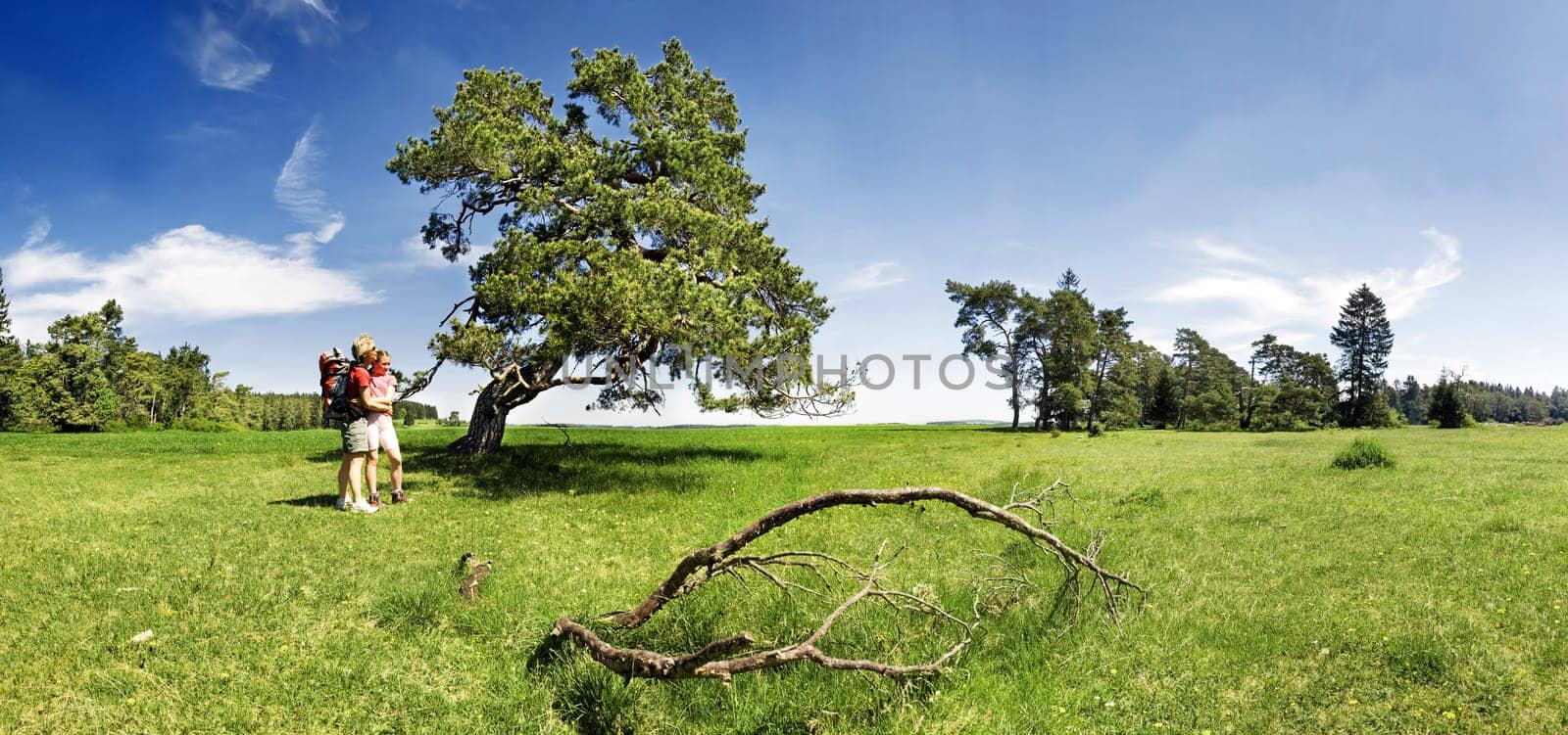 Nature