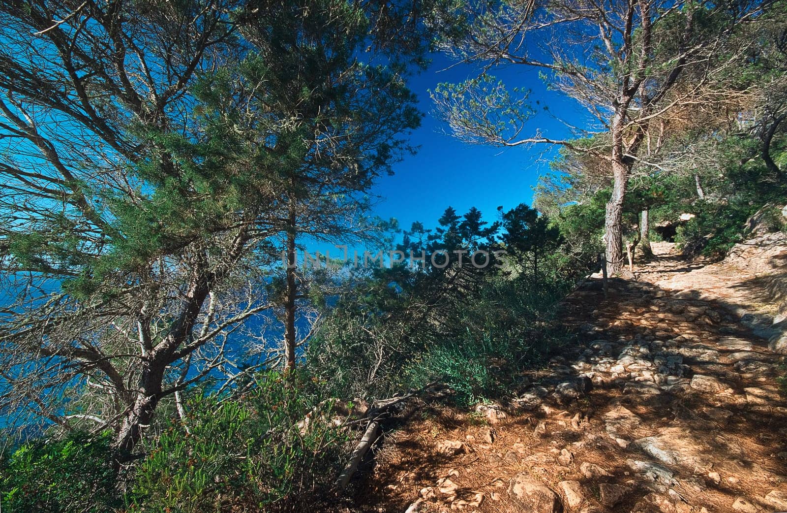 Cala Pujada 2