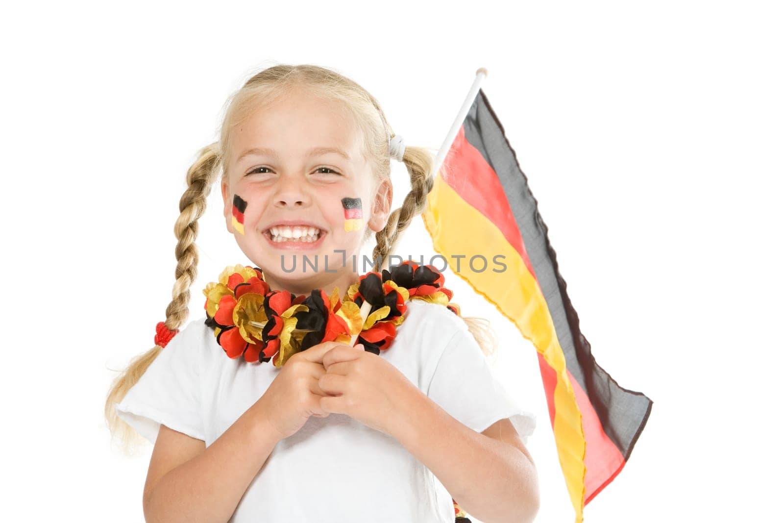 Football fan