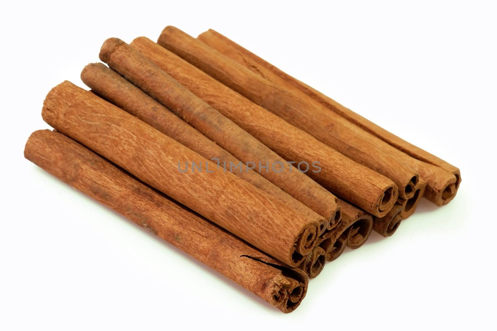 Cinnamomum