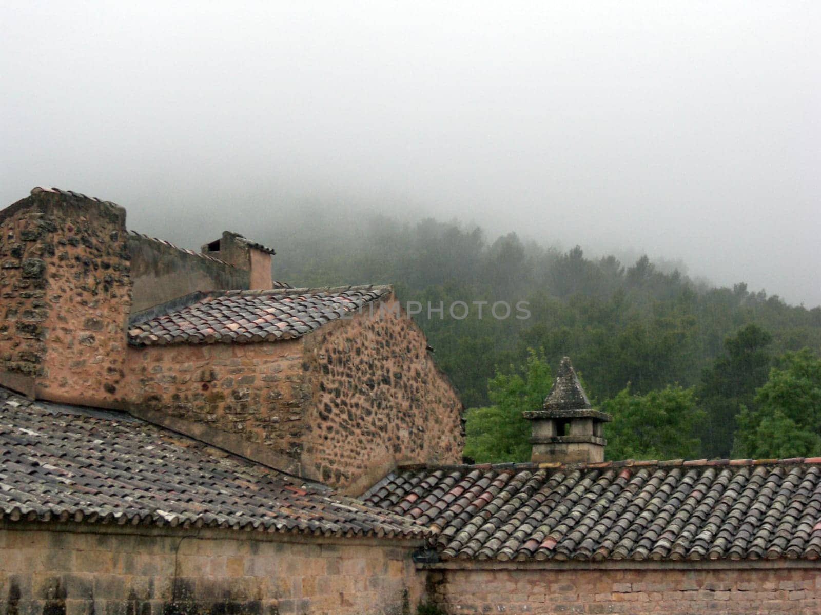 * please note that it is raining ... * no vertical streaks (blurring) in the picture,but rain ...