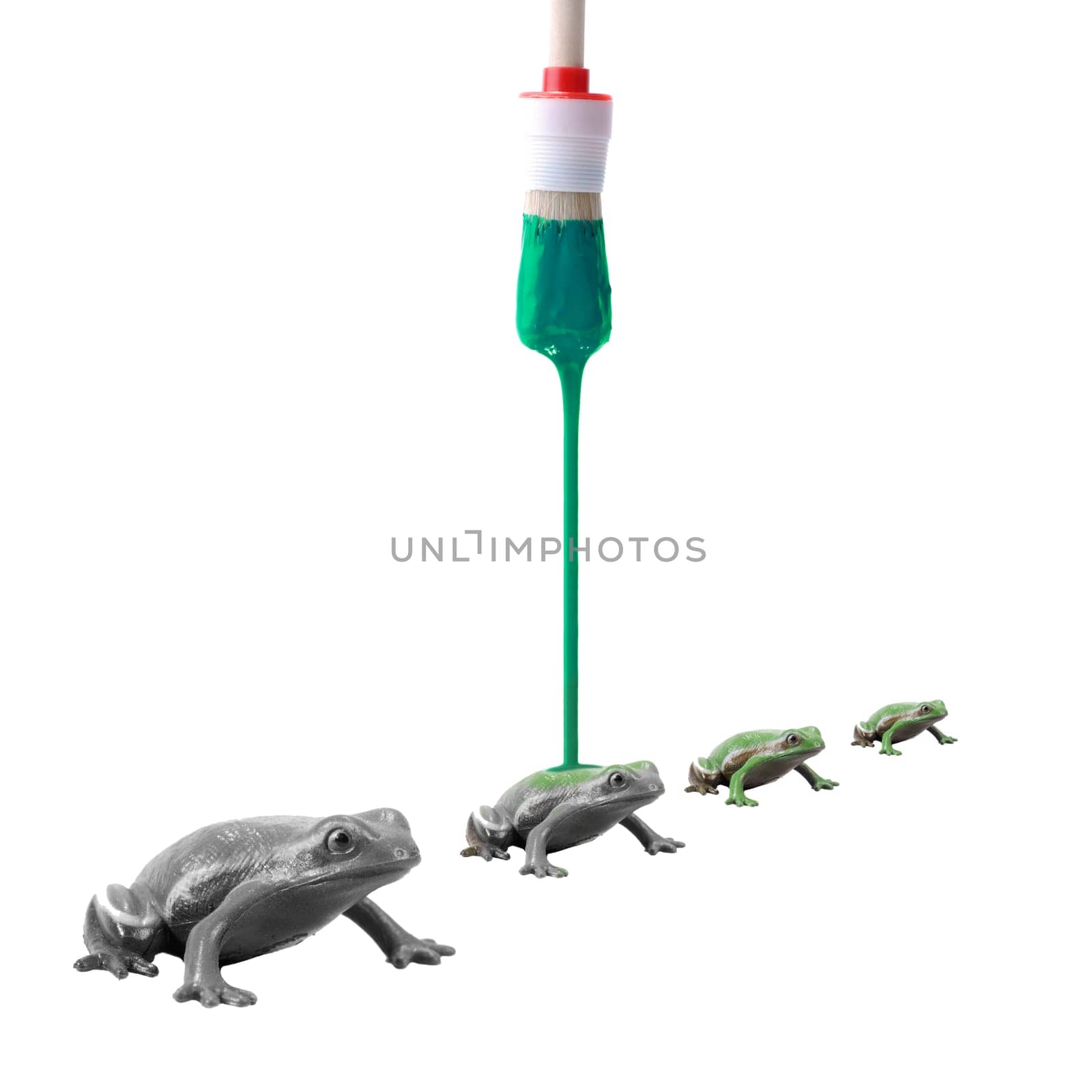 Turning frogs green